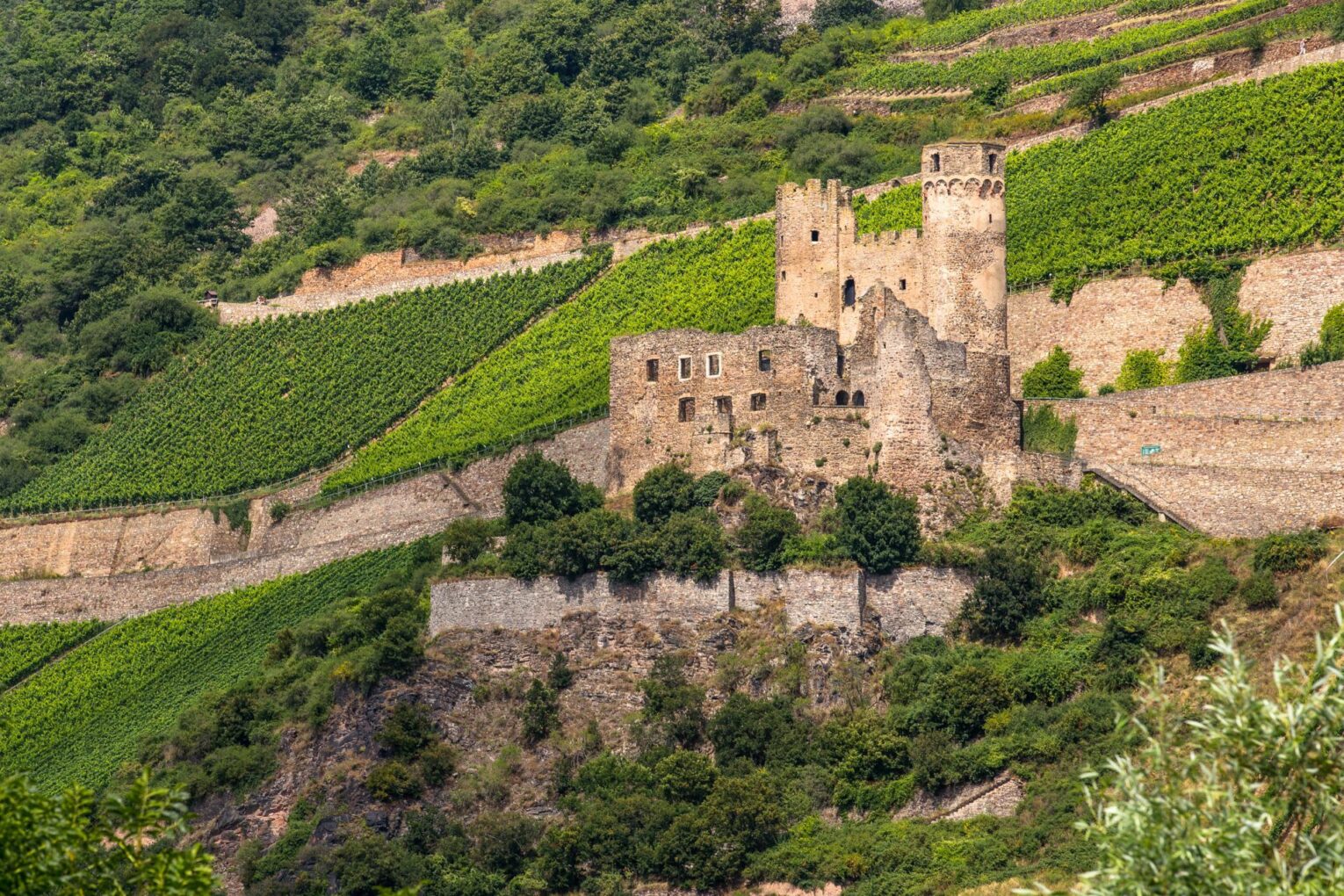 Ruins of Ehrenfels Castle, view from the Rhine