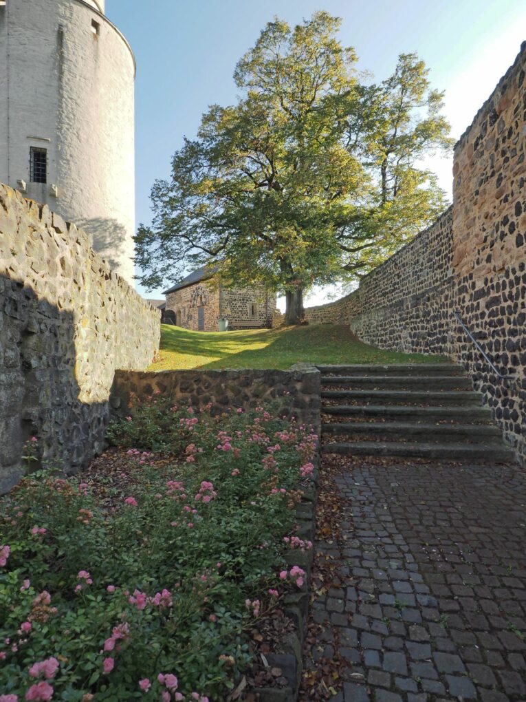 Ruins of Felsberg Castle