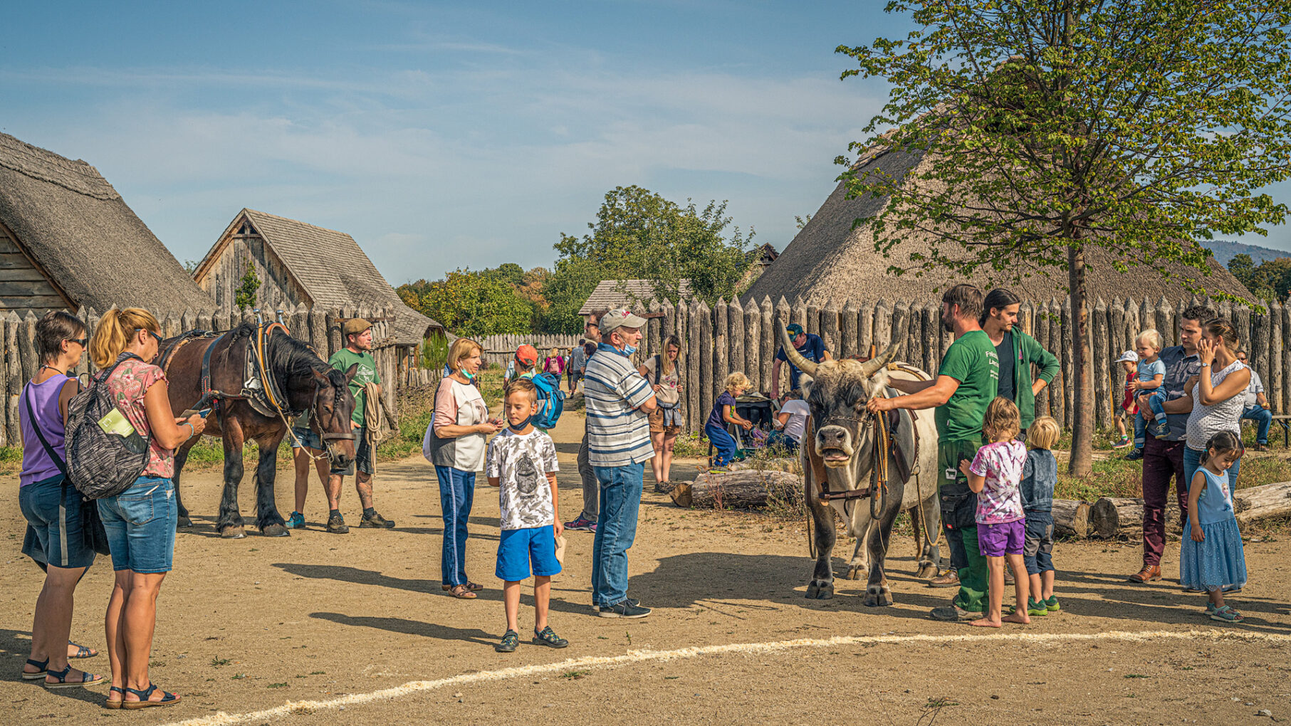 Visitors to Lauresham with horse and aurochs