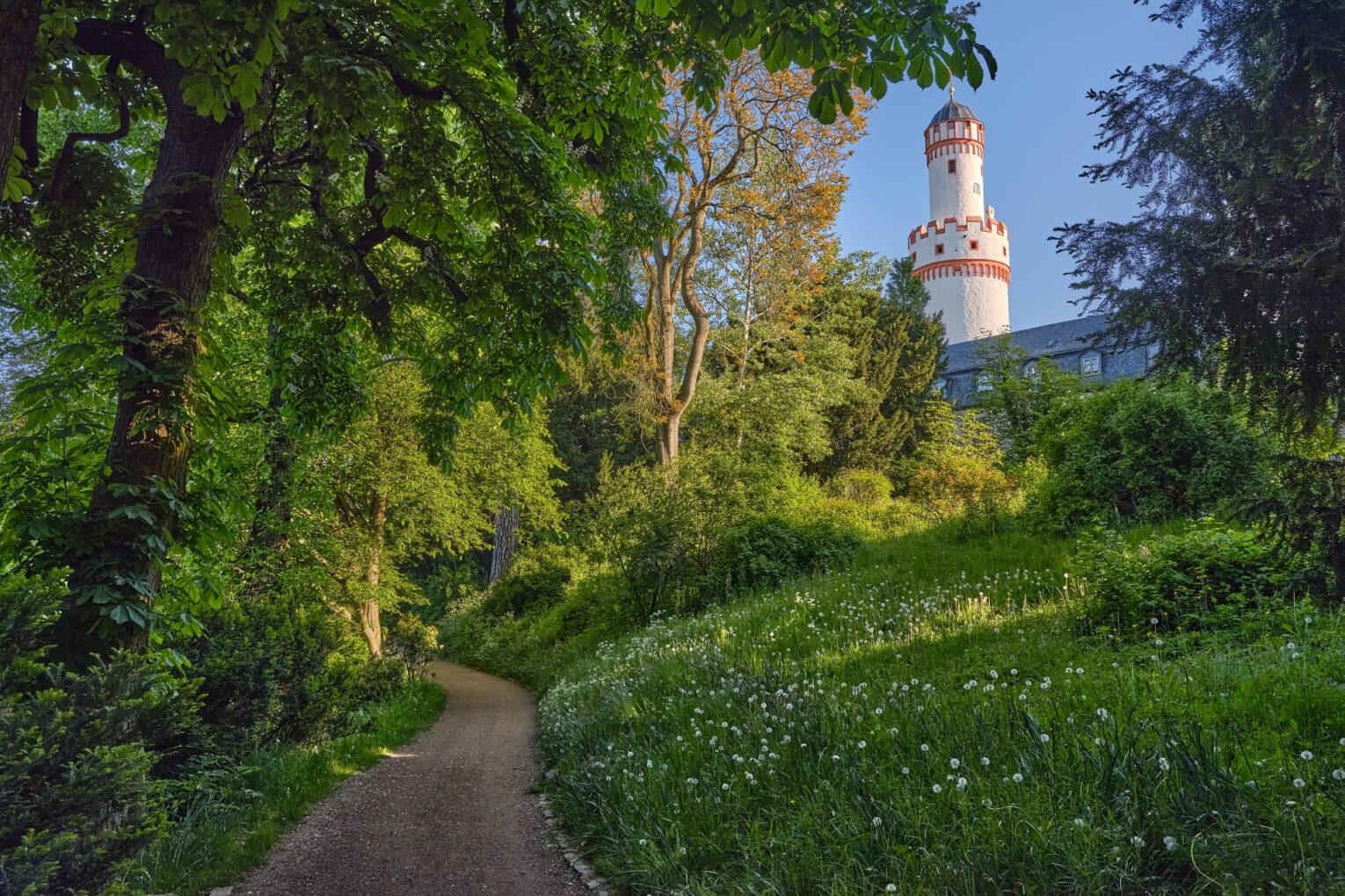 Schlosspark mit Weissem Turm