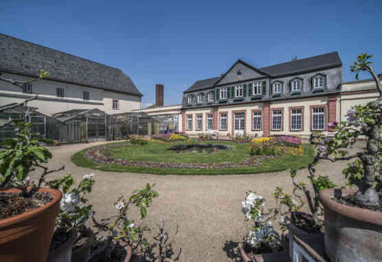 Orangerie im Schlosspark Bad Homburg